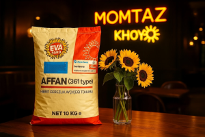 بذر تخم آفتابگردان خوی